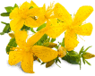 Ingredient image